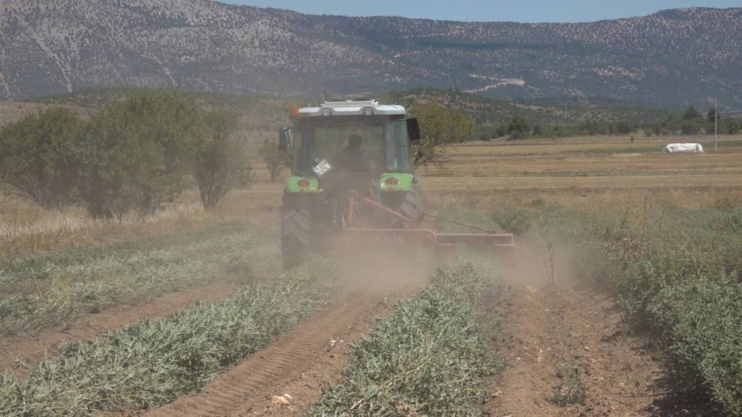 Kurusunun kilosu 40-50 liraya satılıyor: Yağının litresi 1000 lirayı geçti 7